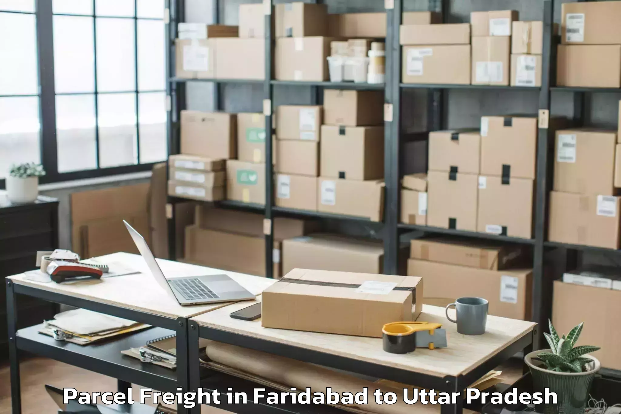 Reliable Faridabad to Mankapur Parcel Freight